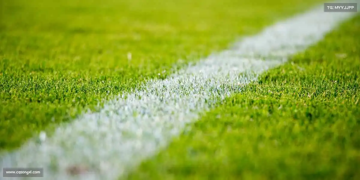 <strong>大满贯</strong>🎾挥动球拍，踢动足球，让运动成为日常 —— 健康快乐，触手可及～